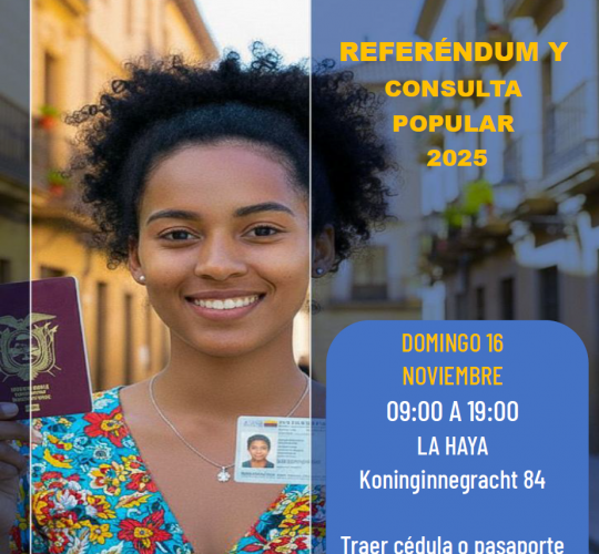 Referéndum y Consulta Popular 2025